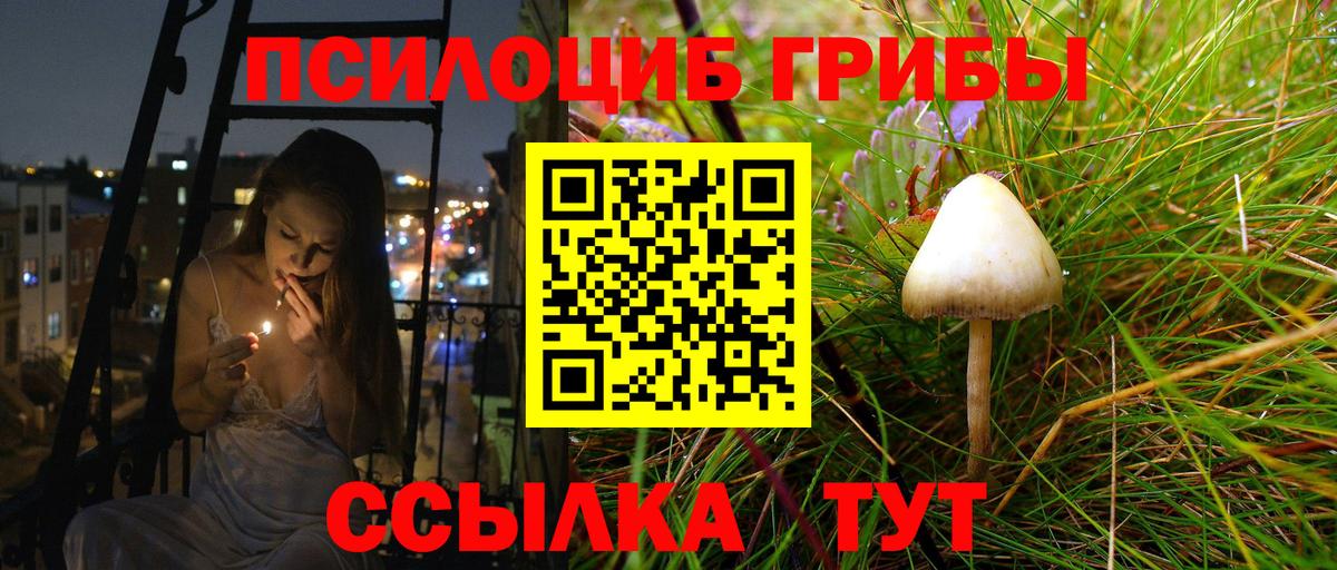Галлюциногенные грибы прущие грибы  Вход с VPN  Галлюциногенные грибы ЛСД  Берёзовский 